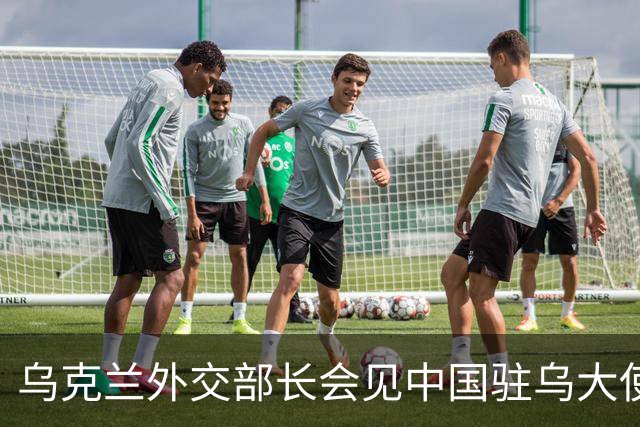 乌克兰外交部长会见中国驻乌大使，“感谢中方”