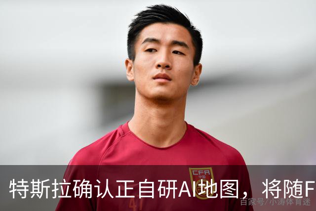 特斯拉确认正自研AI地图，将随FSD v15逐步推送