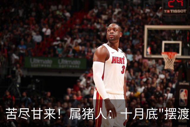 苦尽甘来！属猪人：十月底"摆渡人"悄然降临